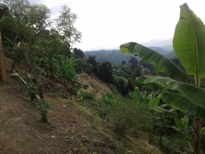 Lote en venta en Tribunas Corcega, Pereira, 500 m² · foto 6 de 12