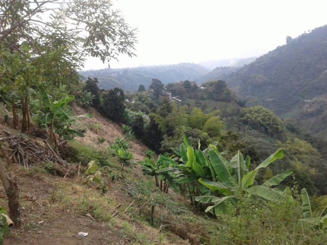 Lote en venta en Tribunas Corcega, Pereira, 500 m² · foto 7 de 12