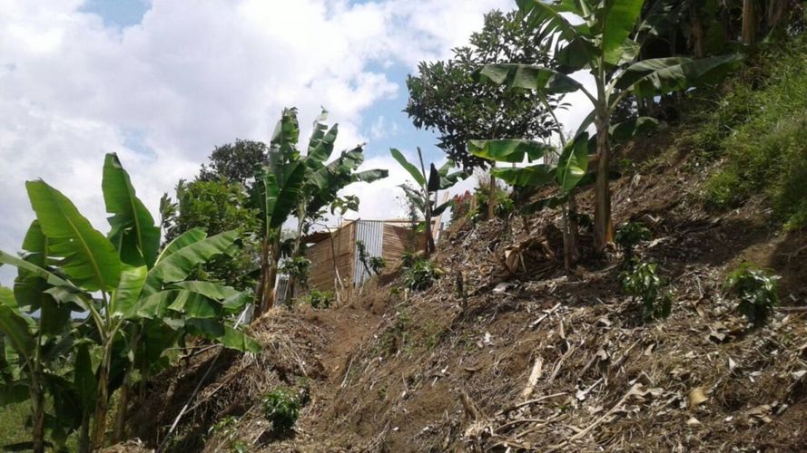 Lote en venta en Tribunas Corcega, Pereira, 500 m² · foto 8 de 12