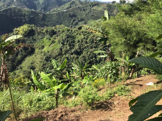 Lote en venta en Tribunas Corcega, Pereira, 500 m² · foto 10 de 12