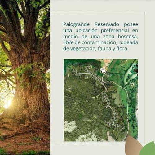 Lote en venta en Pance, Cali, 4944 m² · foto 4 de 4