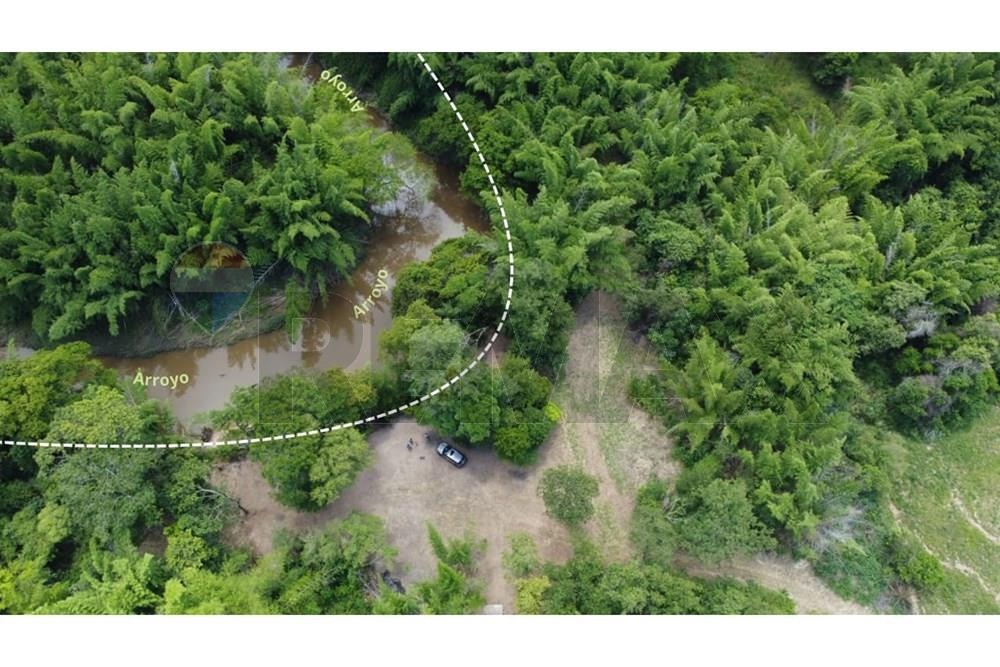100.000 M2 DE TERRENO EN CORONEL OVIEDO EN VENTA — foto 2