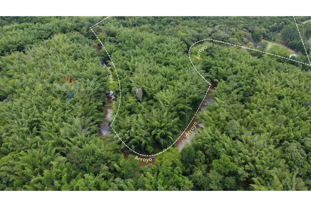 100.000 M2 DE TERRENO EN CORONEL OVIEDO EN VENTA — foto 3