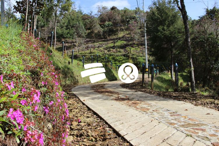 Lote en venta en Guarne, 10000 m² · foto 8 de 12