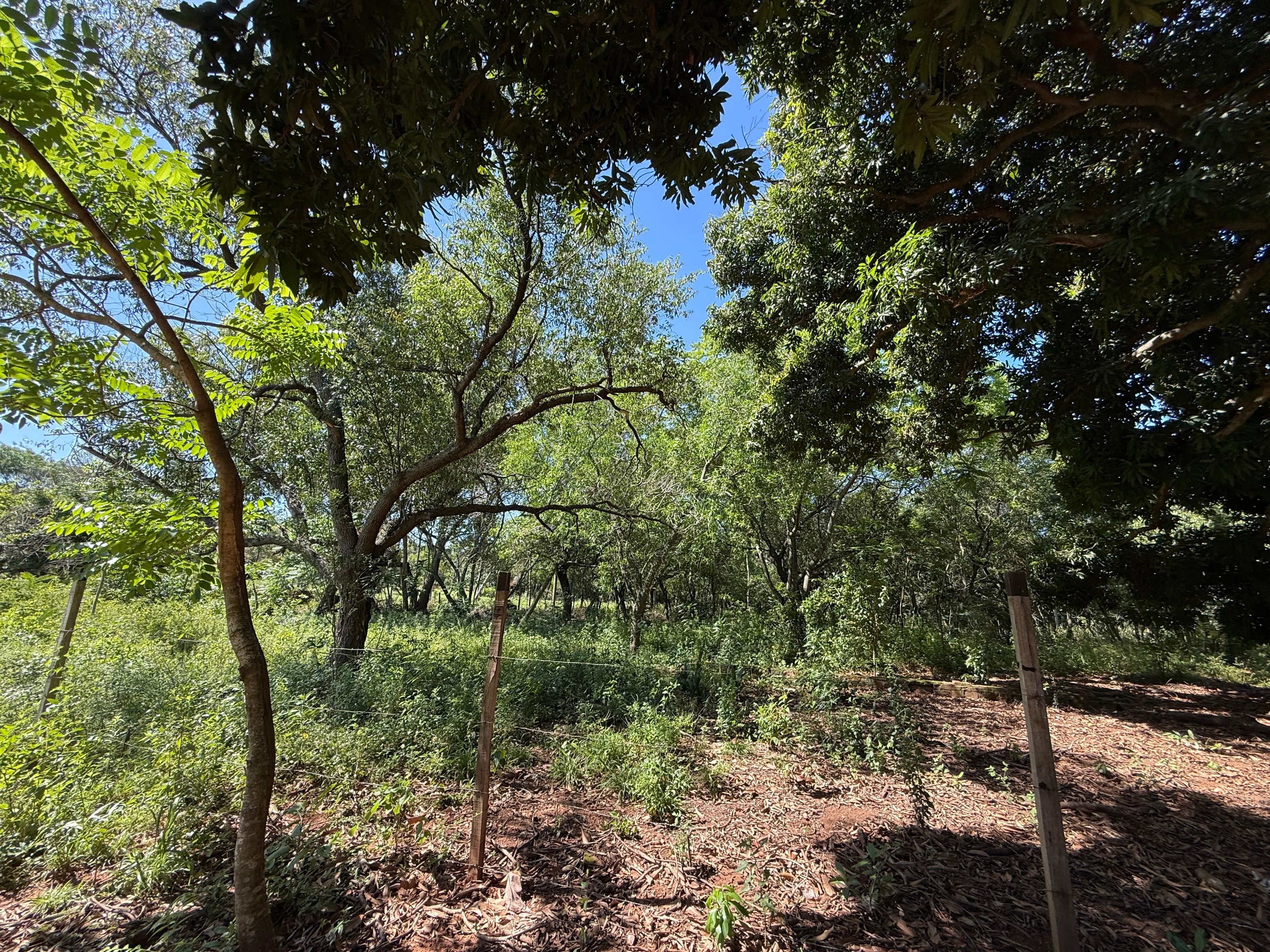 VENDO AMPLIO TERRENO DE 1200M2 EN LUQUE YUKYRY — foto 2