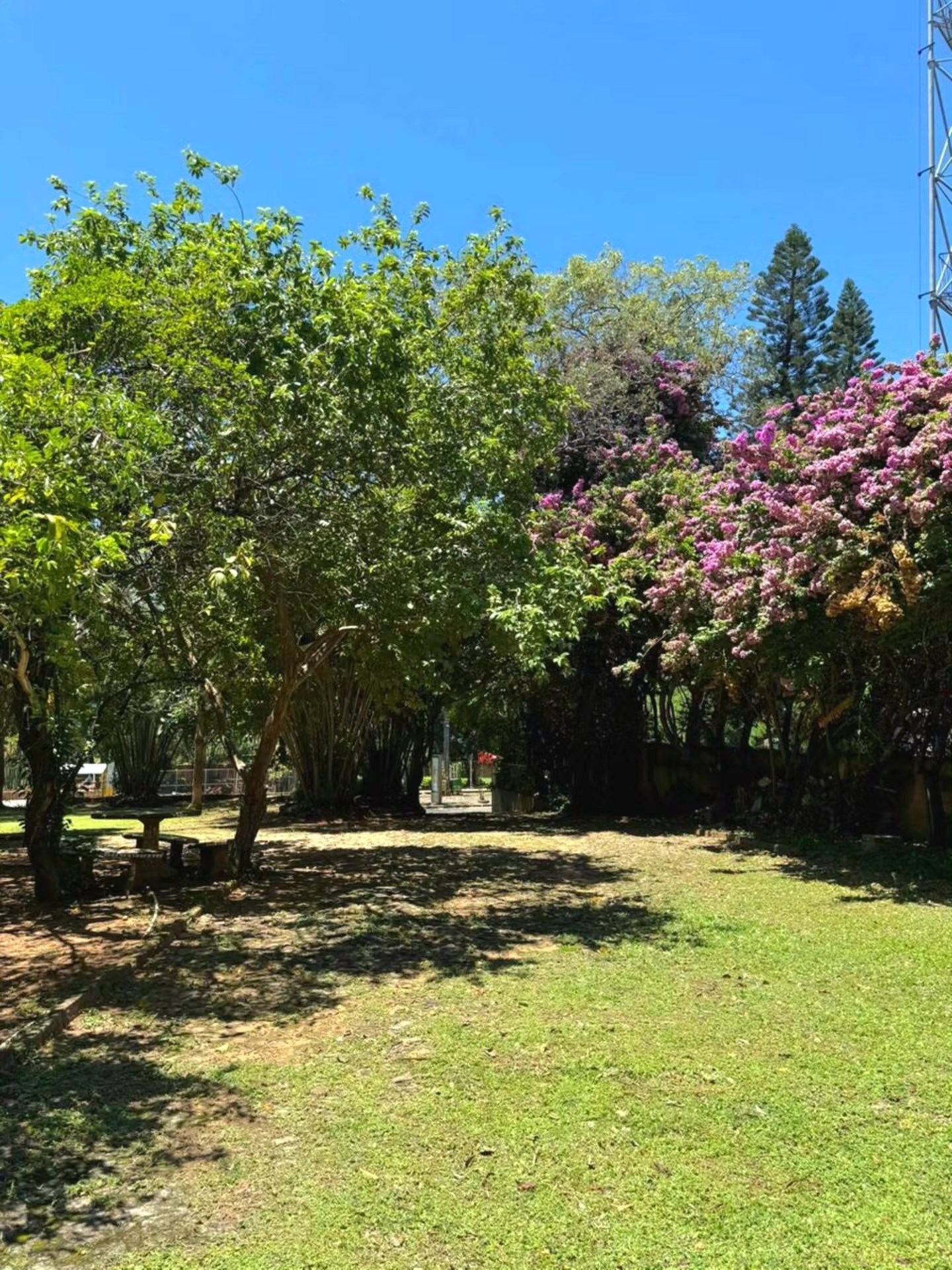 VENDO ESPECTACULAR PROPIEDAD DE 3120 M2 EN EL CENTRO DE SAN BERNARDINO — foto 3