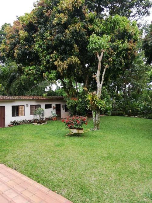 Casa de 3 alcobas en venta en La Mata, Piedecuesta, 350 m² · foto 10 de 16