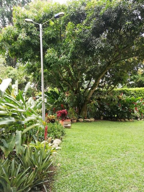 Casa de 3 alcobas en venta en La Mata, Piedecuesta, 350 m² · foto 12 de 16