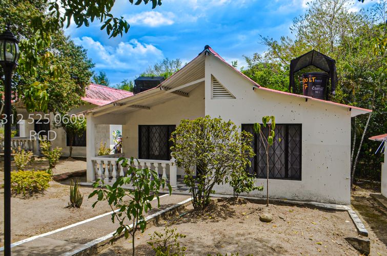 Finca en venta en El Paso, Ricaurte, 10000 m² · foto 14 de 24