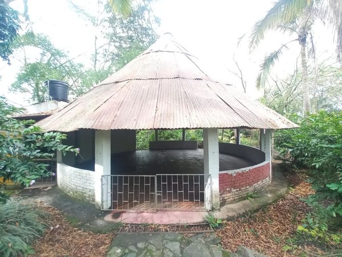 Lote en venta en Mirolindo, Ibagué, 29000 m² · foto 23 de 24