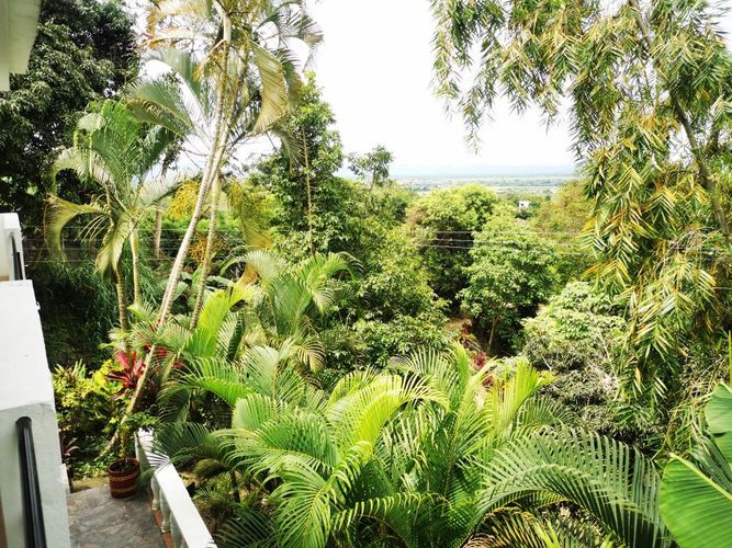 Casa de 5 alcobas en venta en La Esperanza, Ibagué, 400 m² · foto 17 de 24