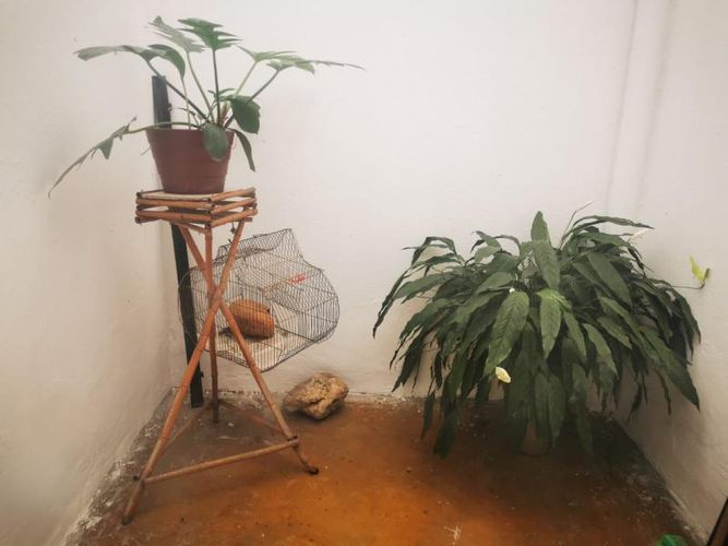 Casa de 9 alcobas en venta en Naciones Unidas, Ibagué, 307 m² · foto 11 de 22