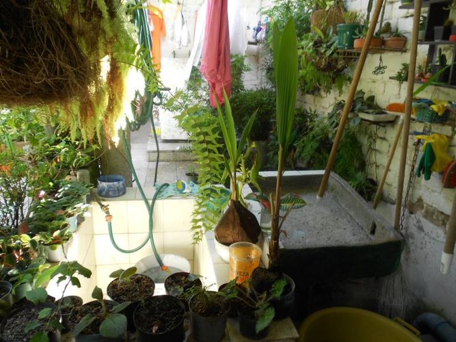Casa de 6 alcobas en venta en La Pola, Ibagué, 728 m² · foto 5 de 24