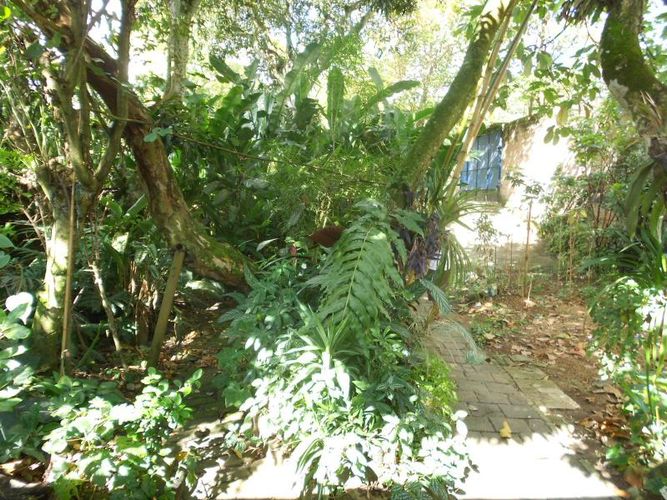 Casa de 6 alcobas en venta en La Pola, Ibagué, 728 m² · foto 19 de 24