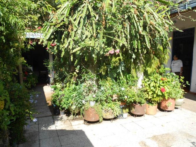 Casa de 6 alcobas en venta en La Pola, Ibagué, 728 m² · foto 24 de 24
