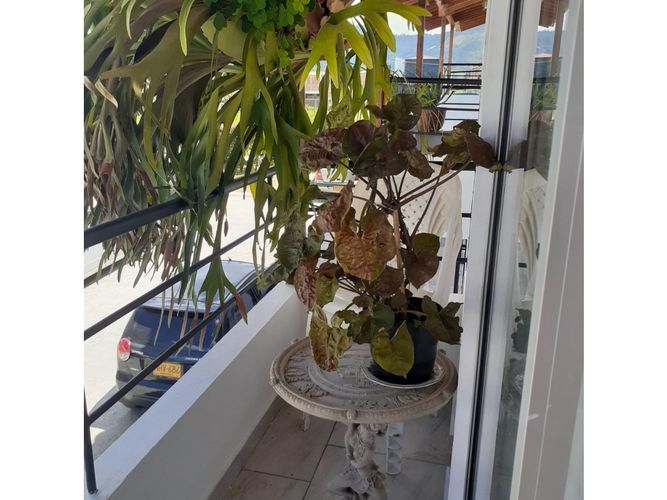 Casa de 2 alcobas en venta en Vía Las Palmas, El Carmen de Viboral, 93 m² · foto 15 de 16