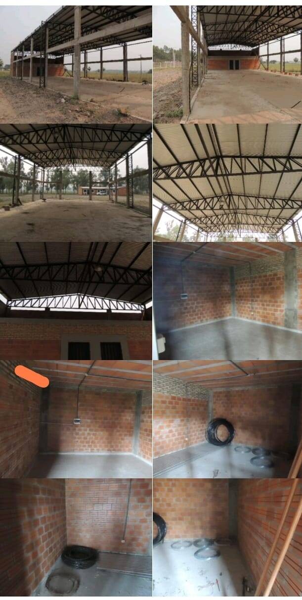 VENDO 2 HECTÁREAS CON TINGLADO EN EL BARRIO SALADILLO, VILLA HAYES — foto 3