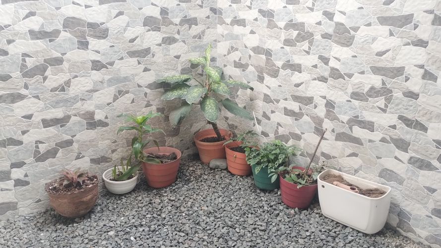 Casa de 4 alcobas en venta en Bolo - La Italia, Palmira, 136 m² · foto 5 de 20