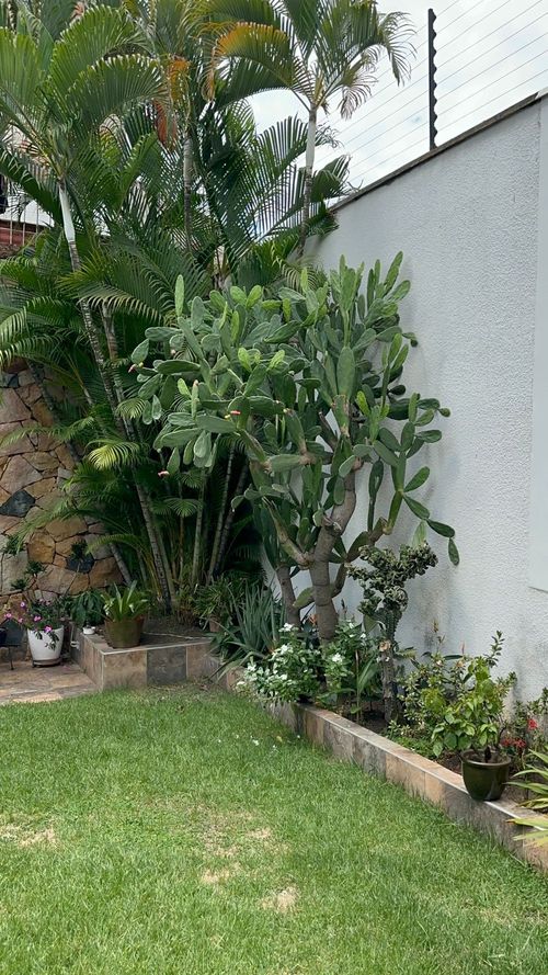 Casa de 3 alcobas en venta en La Flora, Cali, 450 m² · foto 4 de 24