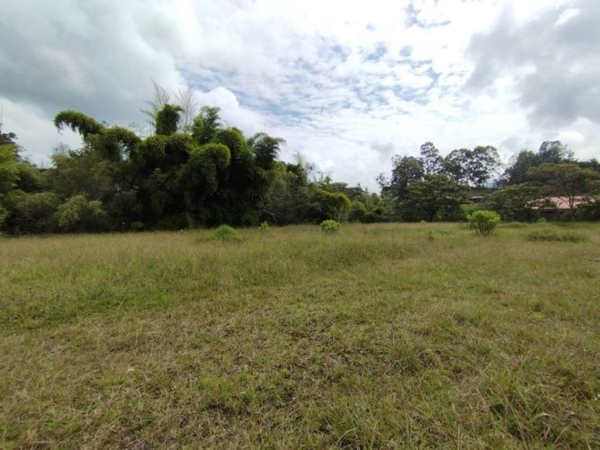 Lote en venta en Pantanillo, El Retiro, 1913 m² · foto 8 de 20
