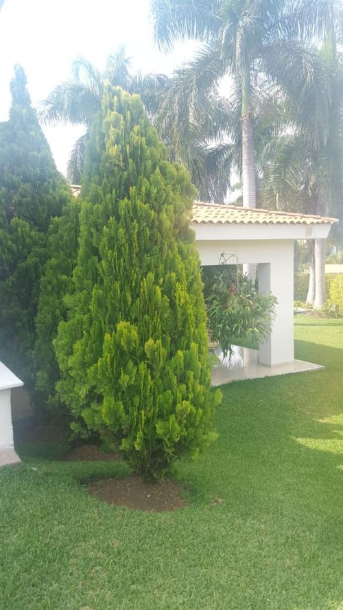 Casa de 4 alcobas en venta en Ciudad Jardin, Cali, 350 m² · foto 8 de 24