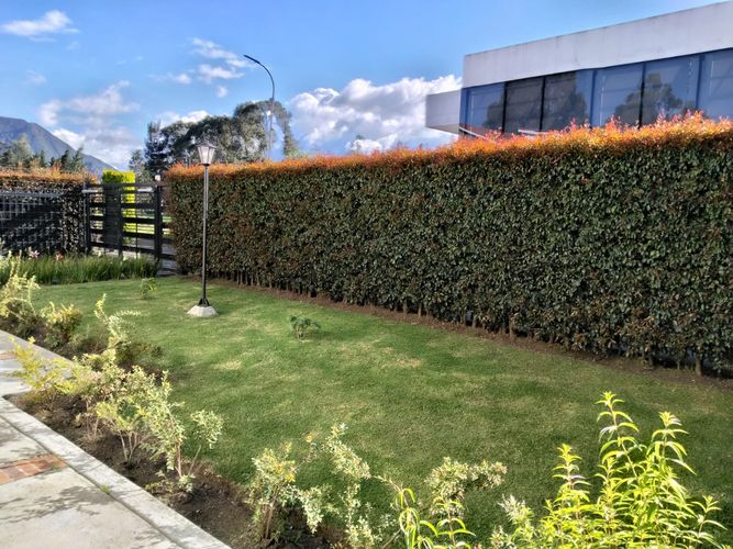 Casa de 4 alcobas en venta en Montana, Sopó, 789 m² · foto 11 de 18