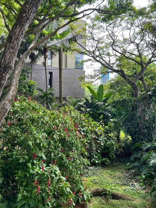 Apartamento de 2 alcobas en venta en Pance, Cali, 75 m² · foto 8 de 20