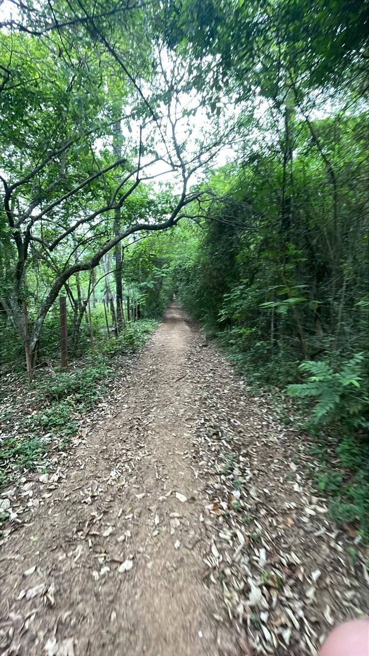 Vendo 4,2 hectáreas en Eusebio Ayala — foto 3