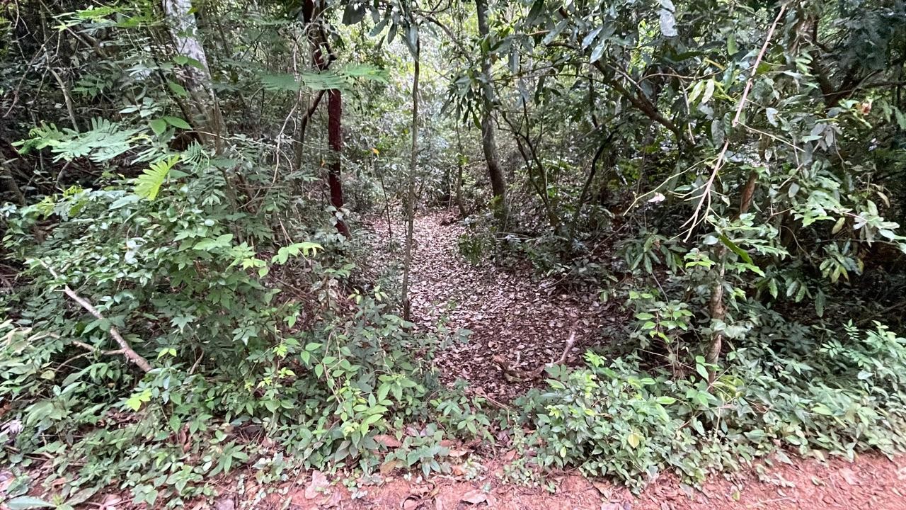 Vendo 4,2 hectáreas en Eusebio Ayala — foto 2