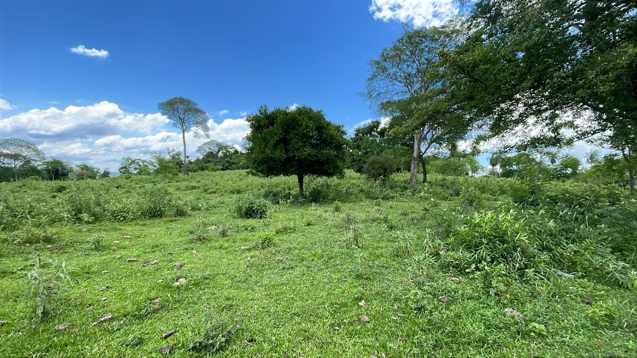 Vendo hermosa propiedad de 9,8 hectareas en Sapucai — foto 3