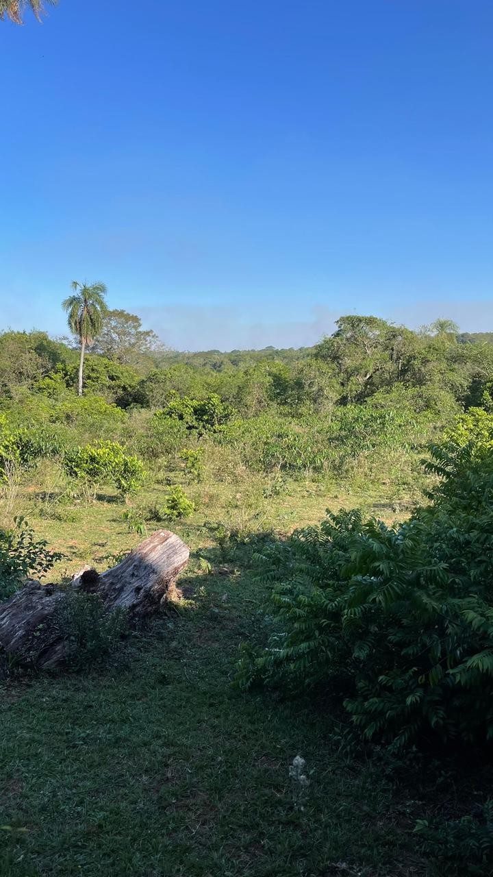 Vendo hermosa propiedad de 26 hectáreas en Ybycui — foto 2