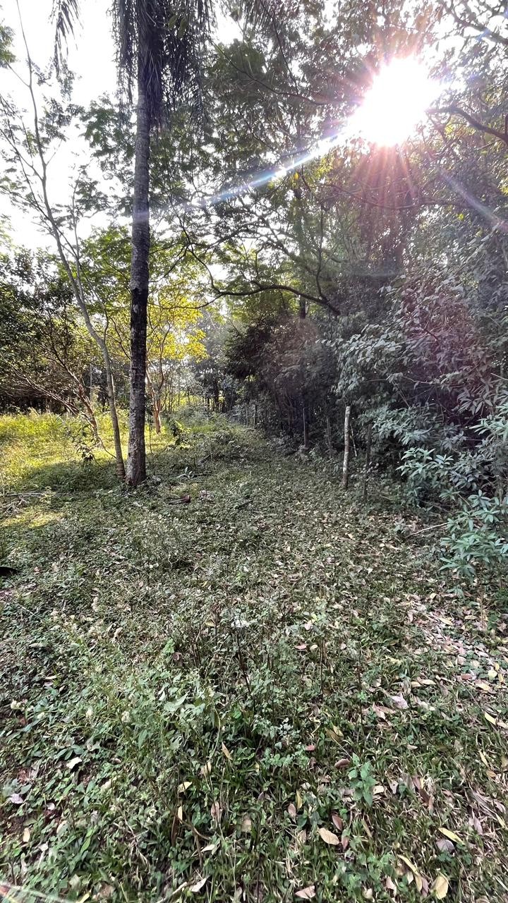 Vendo hermosa propiedad de 26 hectáreas en Ybycui — foto 3