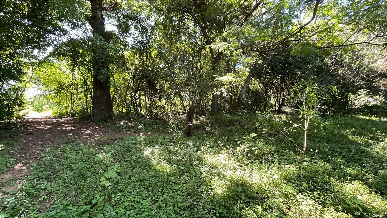 Vendo 37,8 hectáreas en Ybytymi con arroyo ancho y profundo — foto 2