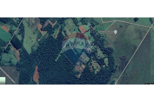 En Venta Finca - Oportunidad de inversión ganadera o agrícola — foto 2
