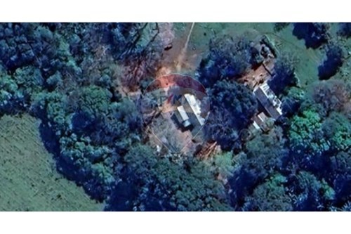 En Venta Finca - Oportunidad de inversión ganadera o agrícola — foto 3