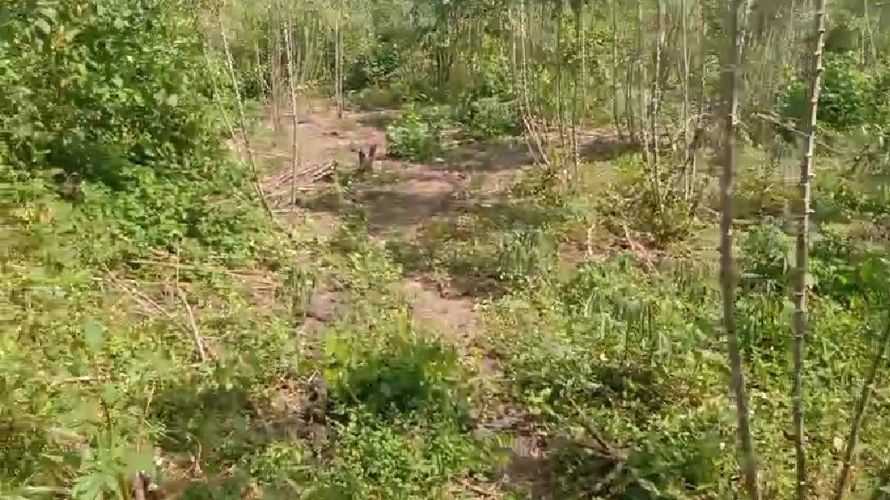 Lote en venta en Juan Mina, Barranquilla · foto 4 de 6