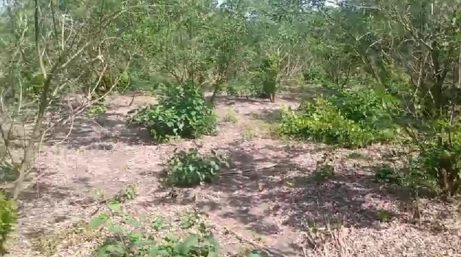 Lote en venta en Juan Mina, Barranquilla · foto 6 de 6
