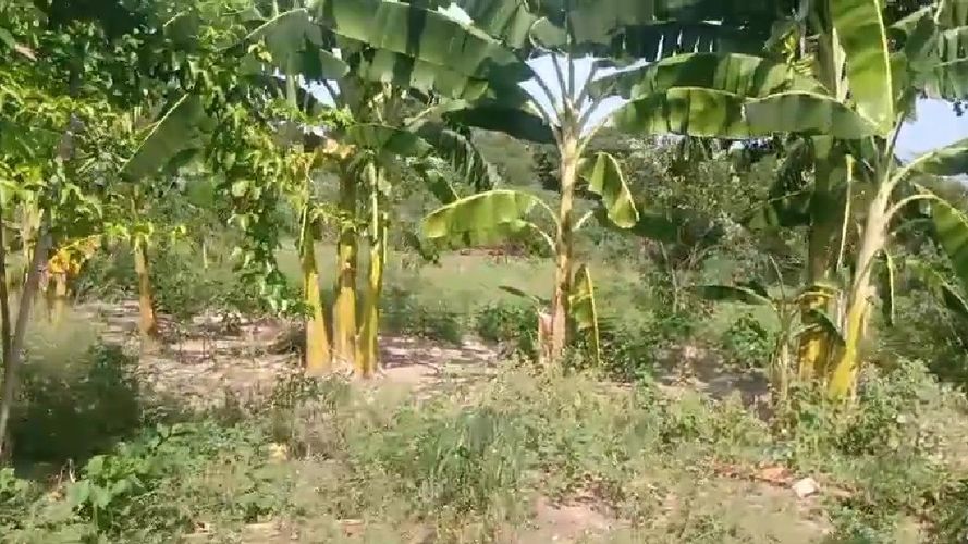 Lote en venta en Juan Mina, Barranquilla · foto 3 de 6