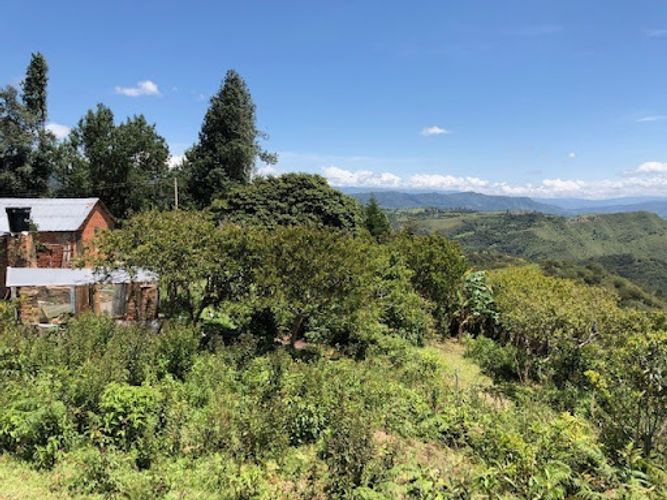Finca en venta en Tunja, 643 m² · foto 3 de 14
