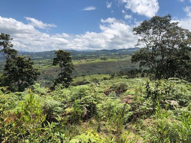 Finca en venta en Tunja, 643 m² · foto 4 de 14