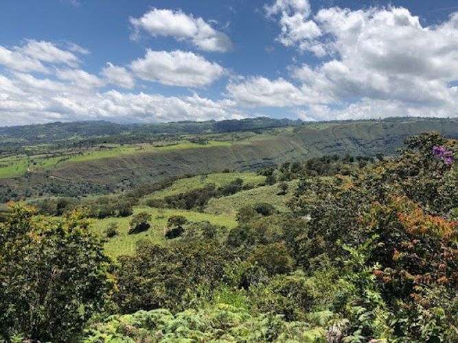 Finca en venta en Tunja, 643 m² · foto 5 de 14
