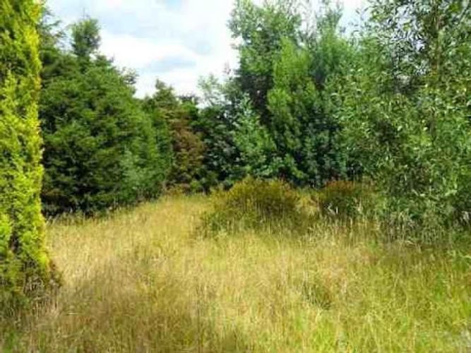 Lote en venta en Altos De Yerbabuena, Chía, 10000 m² · foto 2 de 9