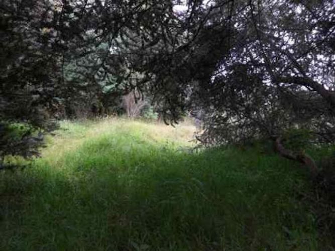 Lote en venta en Altos De Yerbabuena, Chía, 10000 m² · foto 5 de 9