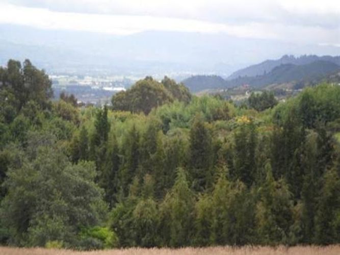 Lote en venta en Altos De Yerbabuena, Chía, 10000 m² · foto 8 de 9