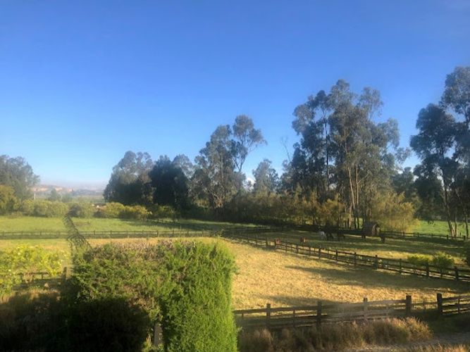 Finca en venta en San Jose, Mosquera, 980 m² · foto 20 de 24