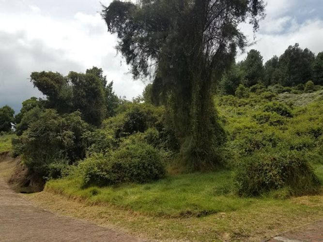 Lote en venta en Tibito, Tocancipá, 8150 m² · foto 7 de 12