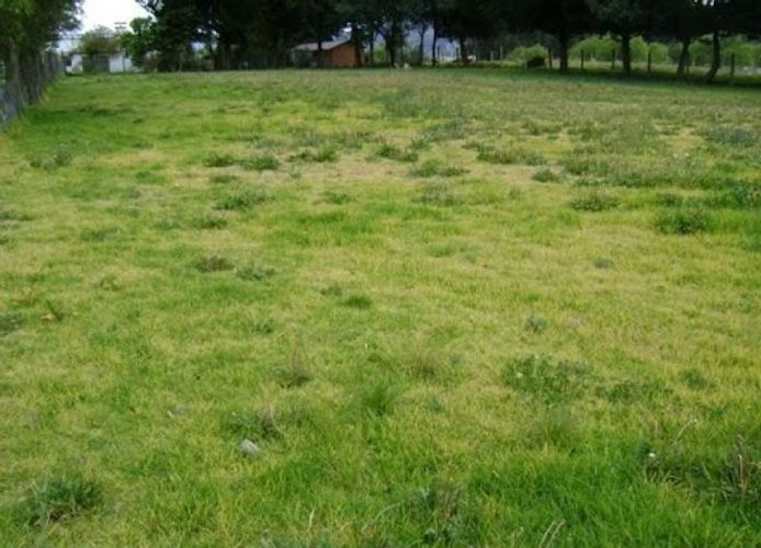 Lote en venta en San Antonio Centro, Zipaquirá, 34312 m² · foto 2 de 11
