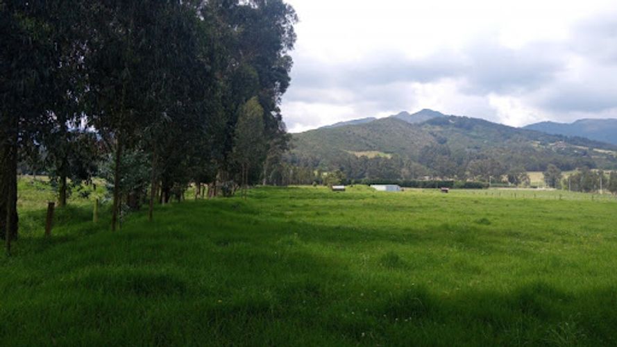 Lote en venta en La Granja, Zipaquirá, 34950 m² · foto 7 de 16