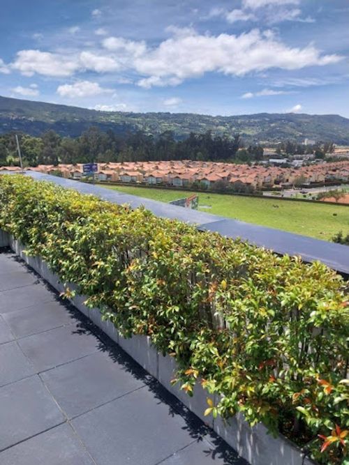 Consultorio en venta en Cr. Valles De Cajica, Cajicá, 37 m² · foto 9 de 13
