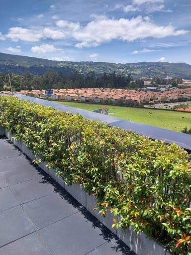 Consultorio en venta en Cr. Valles De Cajica, Cajicá, 37 m² · foto 13 de 13